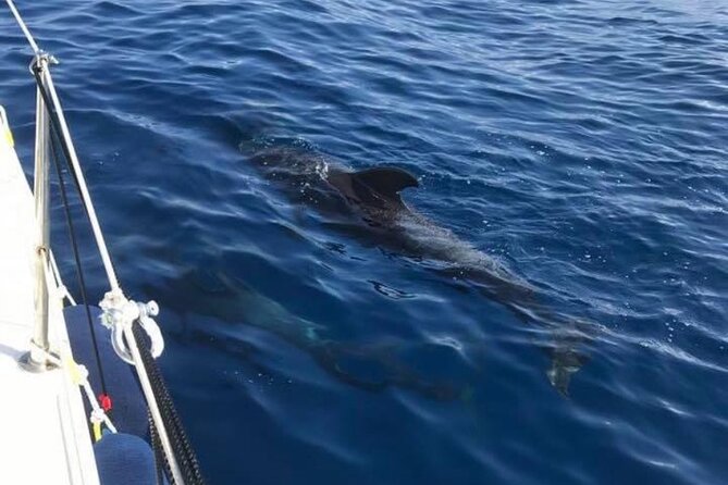 Sailing Yacht on a Private Charter - Snorkeling gear, life vests, and how to make the most of swim time