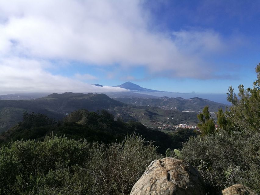Santa Cruz de Tenerife: 2-Hour Hiking Tour in Anaga Forest - Meeting at Cafetería Carmita, and how the tour starts
