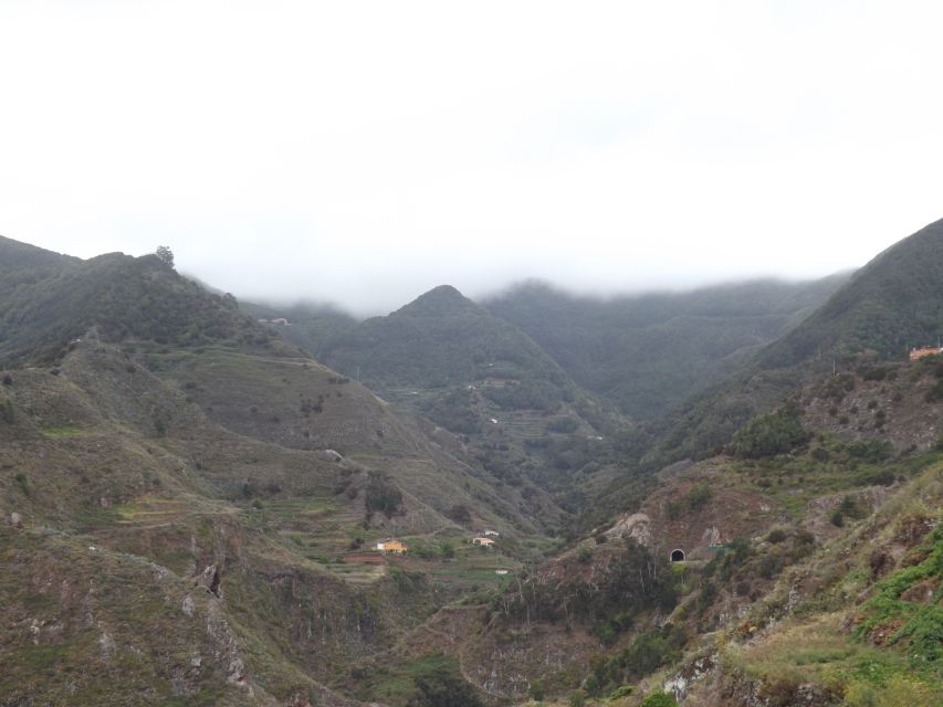 Santa Cruz de Tenerife: 2-Hour Hiking Tour in Anaga Forest - What guide Angel adds to the forest (and why it’s worth it)