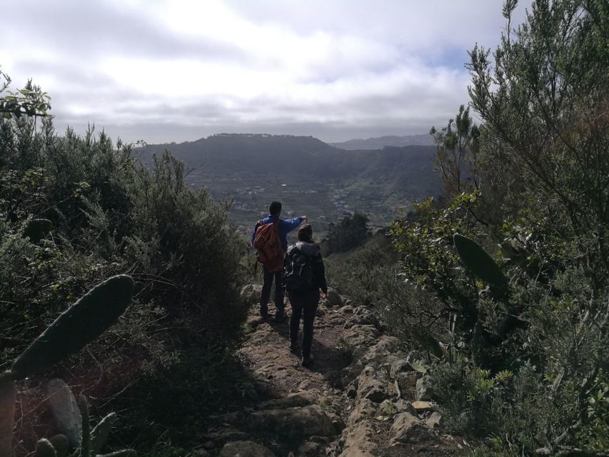 Santa Cruz de Tenerife: 2-Hour Hiking Tour in Anaga Forest - Small rules that keep the forest intact (bring the right mindset)