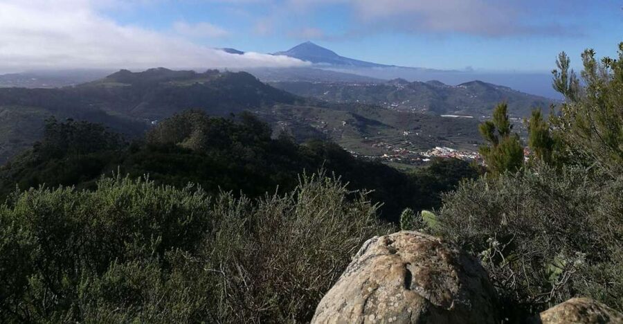 Santa Cruz de Tenerife: 2-Hour Hiking Tour in Anaga Forest - Laurel forest walking, what you actually do on the trail