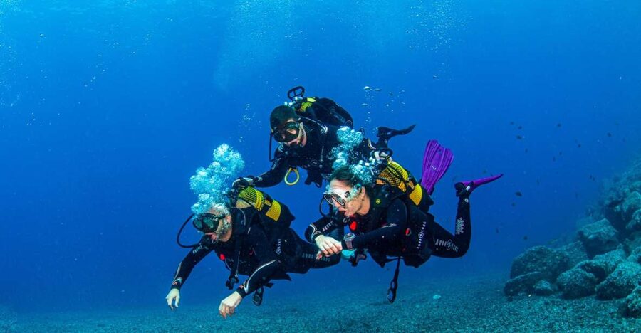 Santa Cruz de Tenerife: Advanced introductory course - Your 5-hour day, mapped out simply