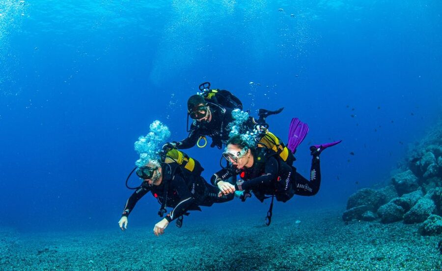 Santa Cruz de Tenerife: Advanced introductory course - Who should book, and who should skip it
