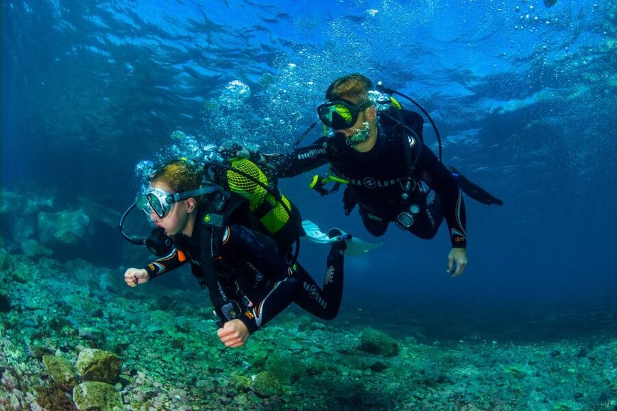 Santa Cruz de Tenerife: Beginner's Diving & Introduction - Key Points That Matter for Your First Scuba Session