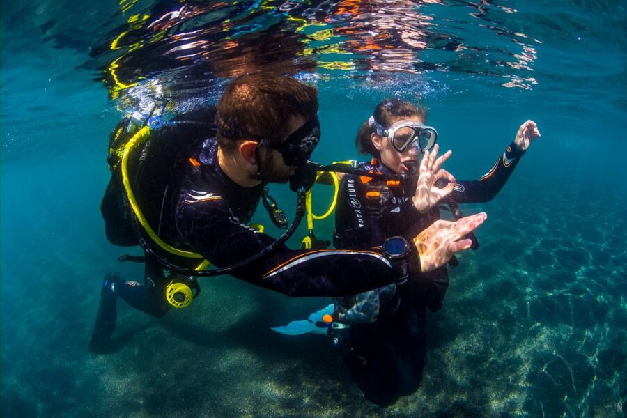 Santa Cruz de Tenerife: Beginner's Diving & Introduction - Getting Oriented at Macaronesian Buceo en Tenerife