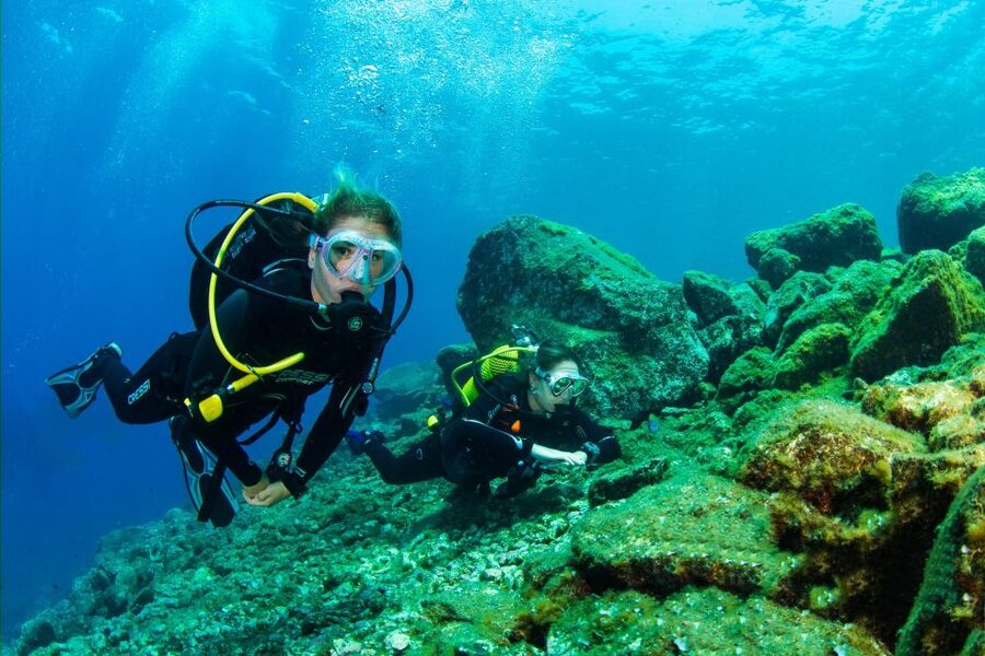 Santa Cruz de Tenerife: Beginner's Diving & Introduction - What the 6-Meter Underwater Time Feels Like