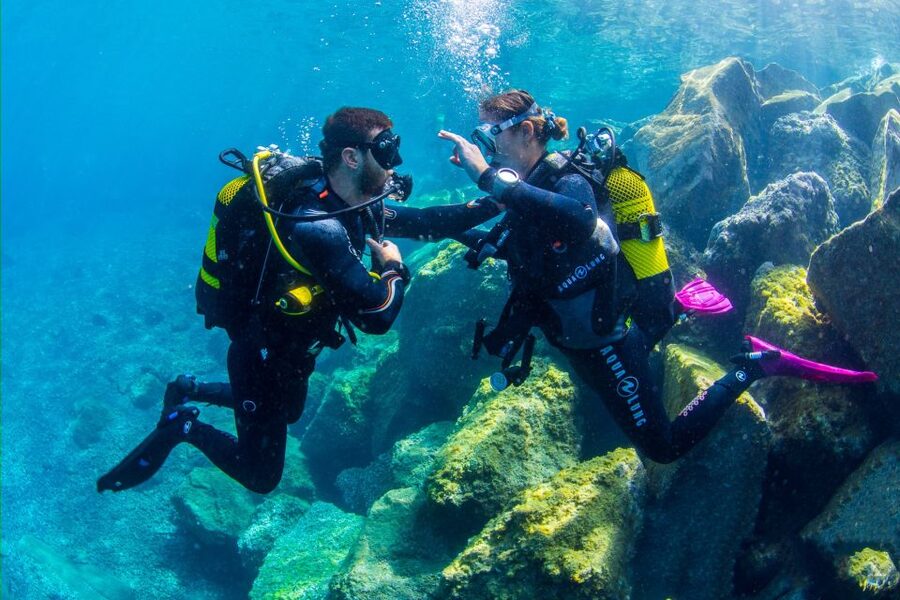 Santa Cruz de Tenerife: Beginner's Diving & Introduction - A Practical Way to Make the Most of Your Session