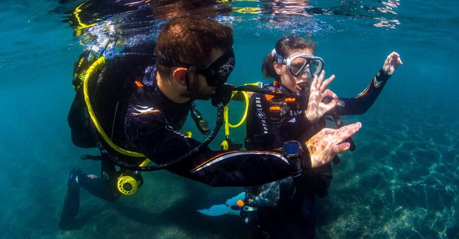 Santa Cruz de Tenerife: Beginner's Diving & Introduction - Gear Coaching That Keeps You Calm