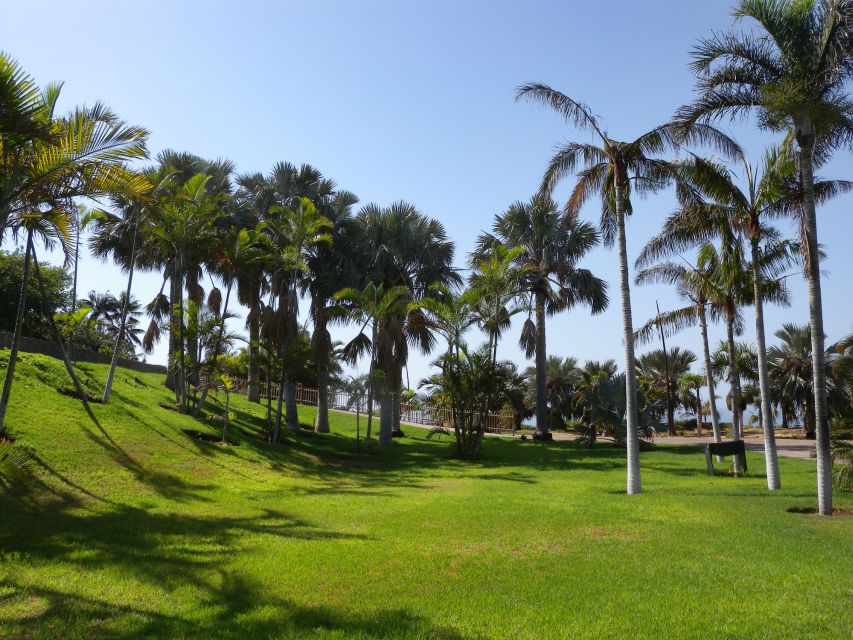 Santa Cruz de Tenerife Palmetum Entry Ticket - Key highlights to plan around