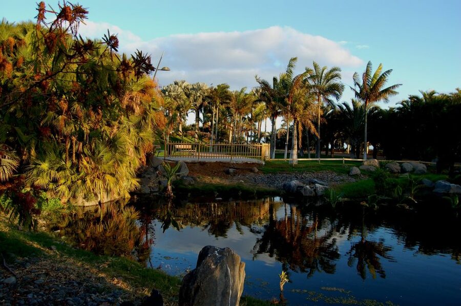 Santa Cruz de Tenerife Palmetum Entry Ticket - Palmetum Tenerife: a former landfill with serious palm power