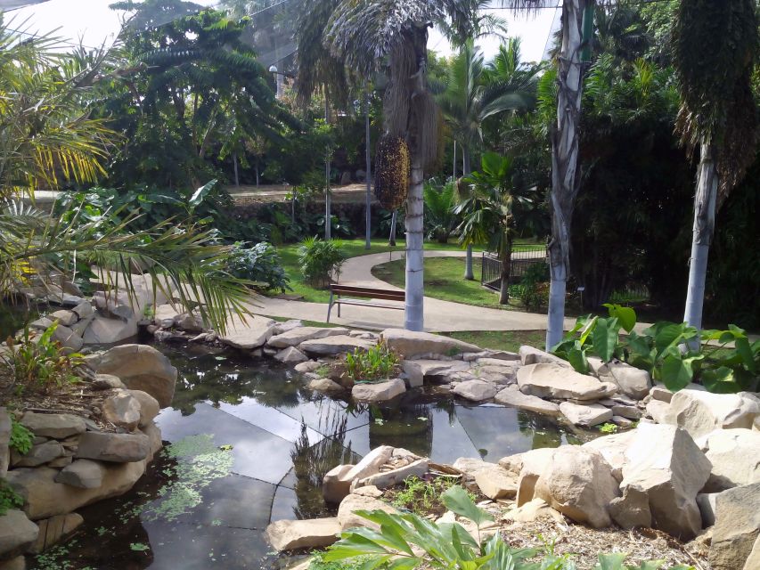 Santa Cruz de Tenerife Palmetum Entry Ticket - Food and drink reality check inside the park
