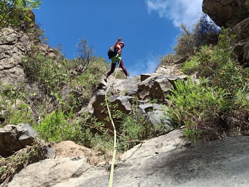 Santa Cruz de Tenerife: Vilaflor Canyoning Tour - Who This Canyoning Tour Fits Best (And Who Should Skip It)