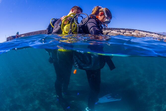 Scuba Diving Baptism Experience in Santa Cruz Tenerife - Scuba Baptism in Santa Cruz Tenerife: How the 3 Hours Work