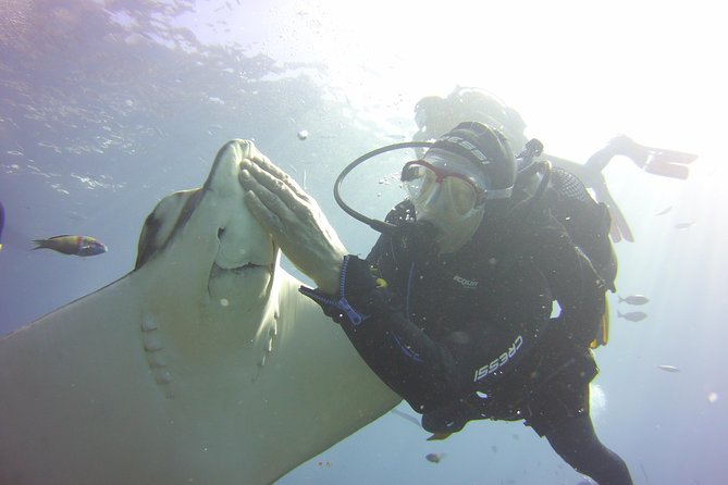 Scuba Diving Beginner's Session in Costa Adeje - Getting Ready: wetsuit, gear, and the health checks that keep it safe