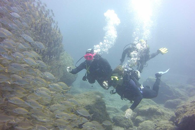 Scuba Diving Beginner's Session in Costa Adeje - The Underwater Window: up to 12 m for about 45 minutes