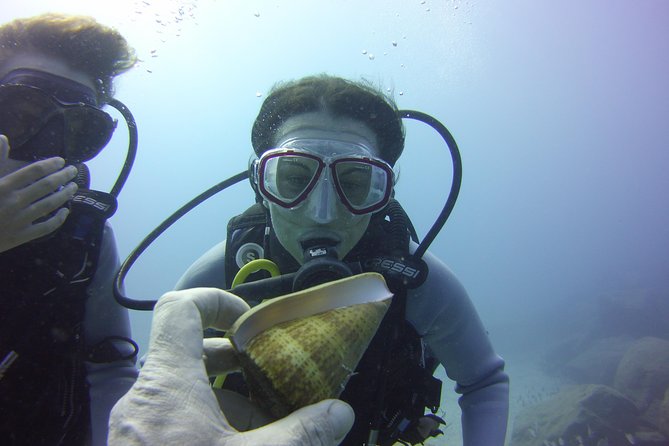 Scuba Diving Beginner's Session in Costa Adeje - Where you go in Costa Adeje, and what that means for what you see