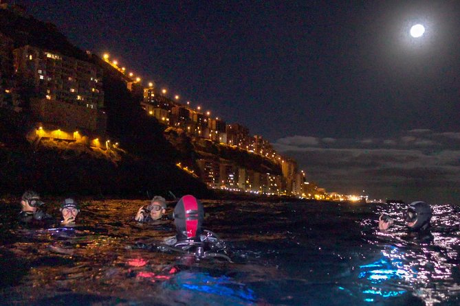 Scuba Night Dive on Tenerife - Key Things You’ll Notice About This Scuba Night Session