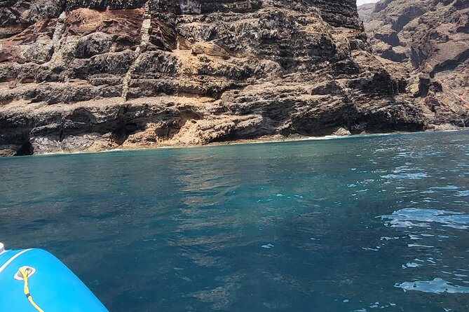 SEA SAFARI Dolphins, Whales, 3h speedboat DISCOVERY-TOUR - Swimming and snorkeling, plus what you actually gain from the included gear
