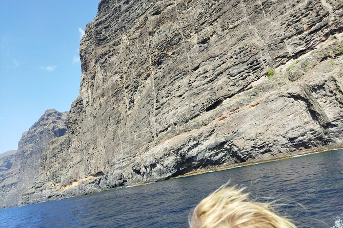 SEA SAFARI Dolphins, Whales, 3h speedboat DISCOVERY-TOUR - BladeFish try-on time: the highlight if you want more than sightseeing