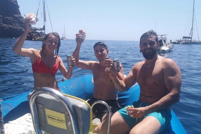 SEA SAFARI Dolphins, Whales, 3h speedboat DISCOVERY-TOUR - Comfort, motion, and who this trip suits best