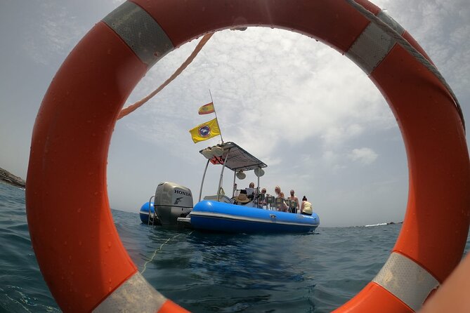 SEA SAFARI, Dolphins, Whales, snorkeling, snack and drink, 2 h speedboat - Where You Meet, How the Day Flows, and What to Bring