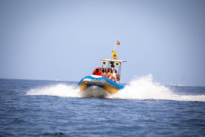 SEA SAFARI Dolphins,Whales, snorkeling, snack, drink, 3h private - Key things to know before you go