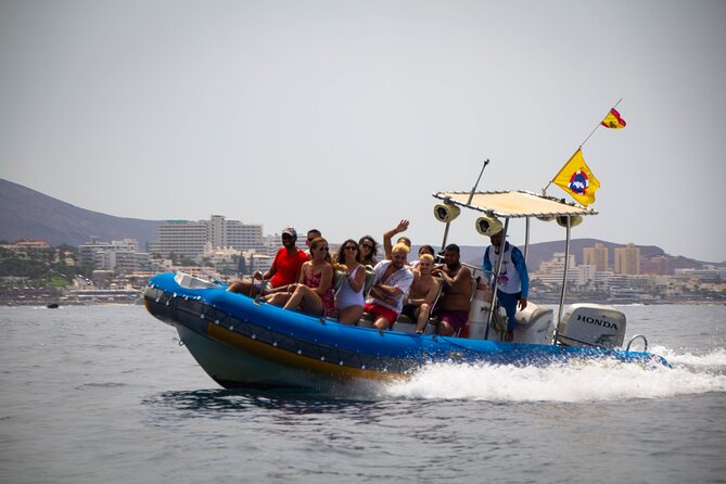 SEA SAFARI Dolphins,Whales, snorkeling, snack, drink, 3h private - Why a private Sea Safari from Playa de las Américas feels different