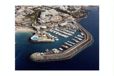 SEA SAFARI Dolphins,Whales, snorkeling, snack, drink, 3h private