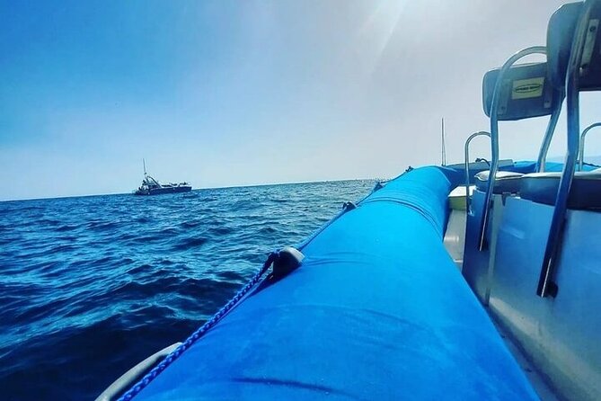 SEA SAFARI Dolphins,Whales, snorkeling, snack, drink, 3h private - Value and price, and why the included extras matter