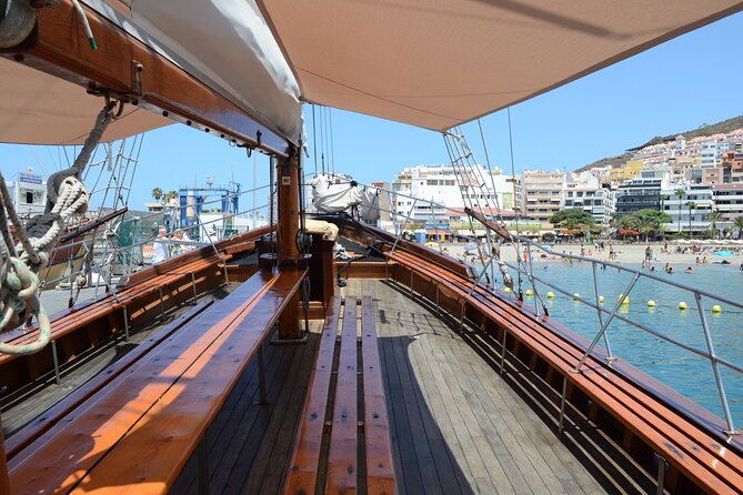 Sealife Dolphin & Whale Watching aboard Portuguese schooner - Key Points You Should Know Before You Go