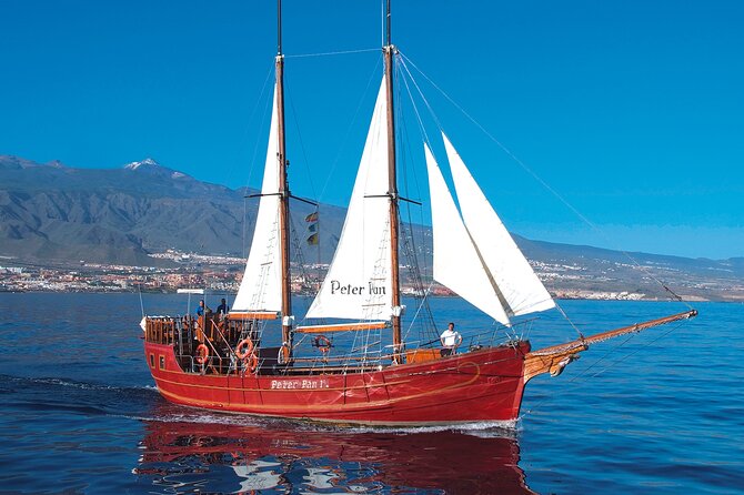 Sealife Dolphin & Whale Watching aboard Portuguese schooner - Lunch and the Atlantic Swim Stop After the Cetacean Viewing