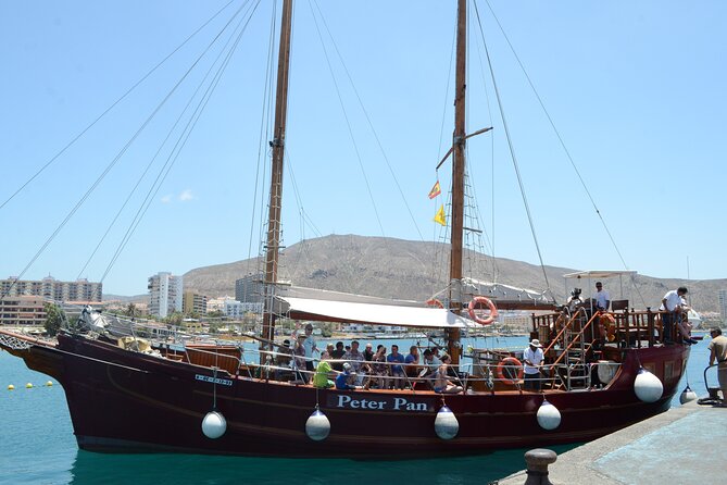 Sealife Dolphin & Whale Watching aboard Portuguese schooner - Who This Tour Is Best For (And Who Might Be Frustrated)