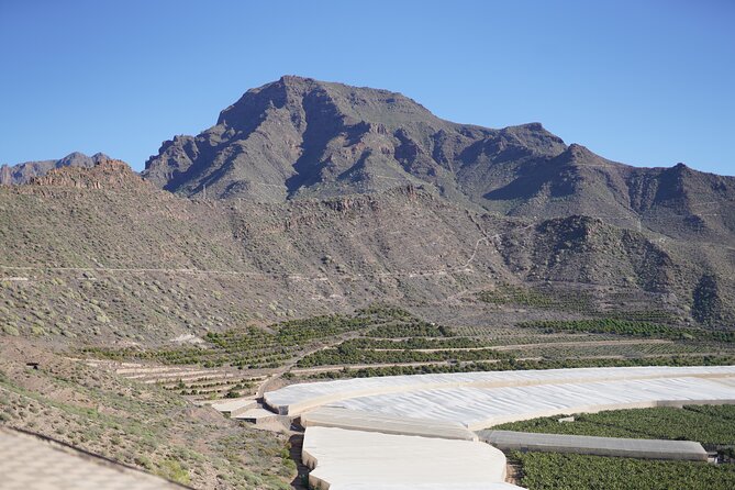 Secret Volcano Tour by Tuk Tuk in Costa Adeje - Duration, group options, and how “1 hour” plays out in real life