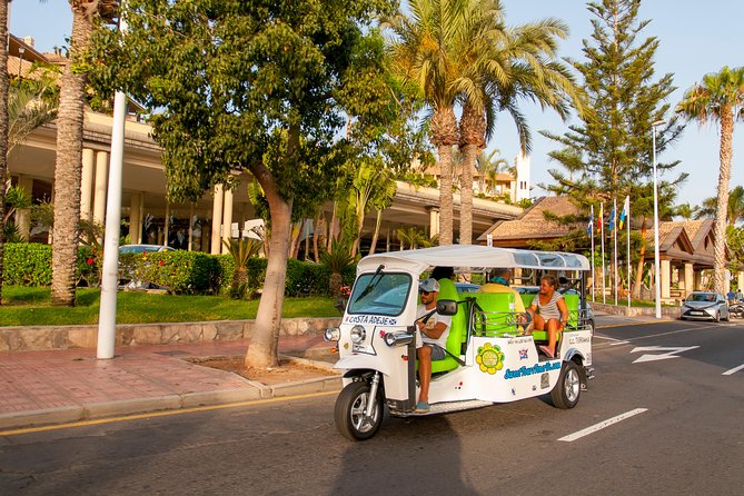 Secret Volcano Tour by Tuk Tuk in Costa Adeje - Price and value, does $29.04 make sense for what you get?