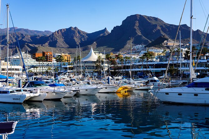 Secret Volcano Tour by Tuk Tuk in Costa Adeje - Who this Secret Volcano Tour works best for