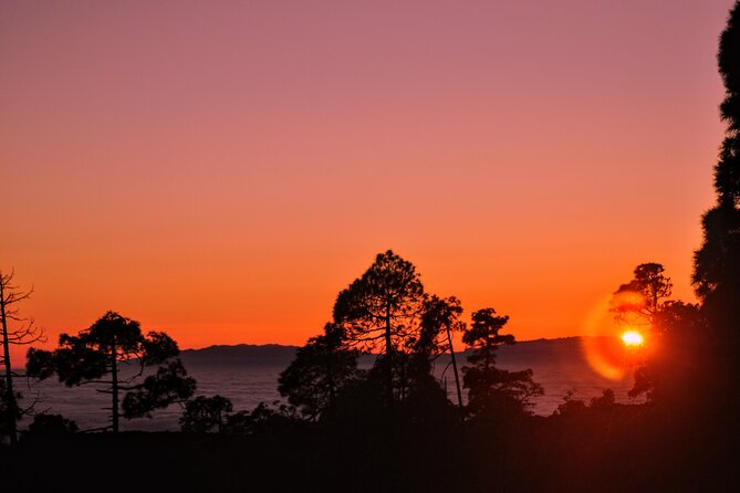 Self Drive Sunset & Stargazing in Teide National Park with Dinner - Price and value: is $78.09 for Teide skies a good deal?