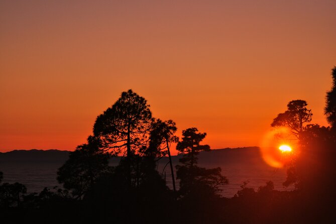 Self Drive Sunset & Stargazing in Teide National Park with Dinner - Who should book this self-drive sunset and stargazing night