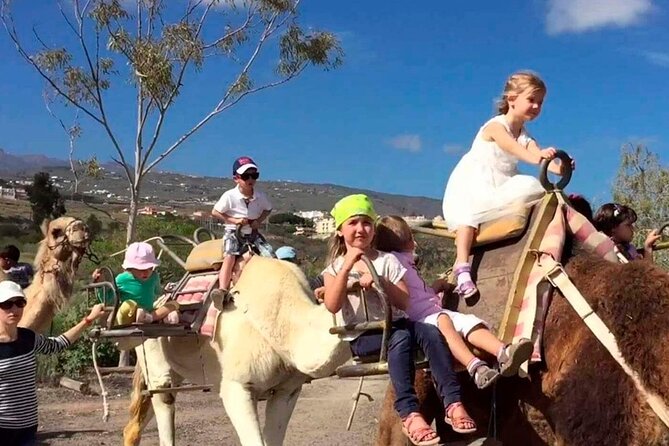 Skip the Line: Camel Park Tenerife Ticket - Inside the 25-minute camel ride: pace, safety, and what to expect