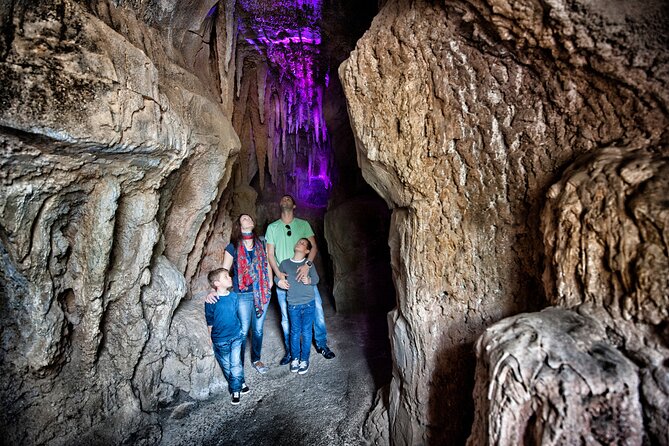 Skip the Line: Jungle Park Tenerife Entrance Ticket - A 6-hour Tenerife plan that keeps you from rushing