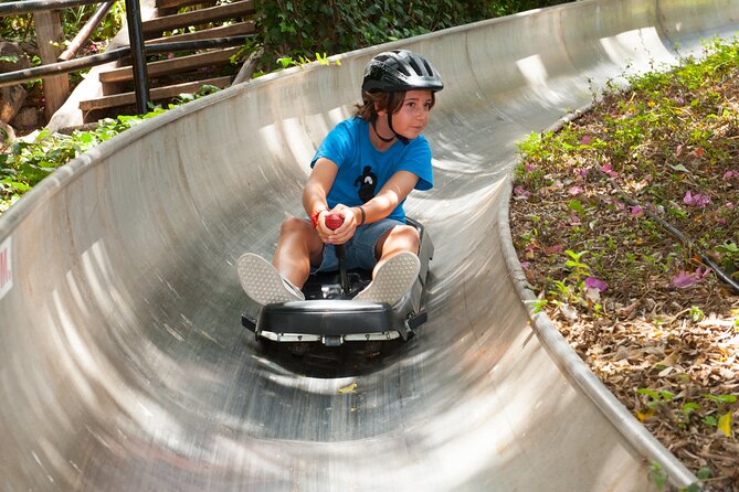 Skip the Line: Jungle Park Tenerife Entrance Ticket - Bird shows and sea lions, how to time your day