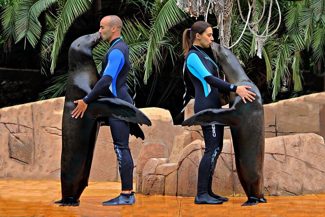Skip the Line: Jungle Park Tenerife Entrance Ticket - Food, drinks, and the restaurant price reality
