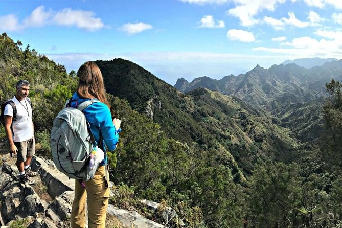 Small Group Guided Hiking in Anaga Rural Park in Tenerife - Price and Value: Is $67 Worth It?
