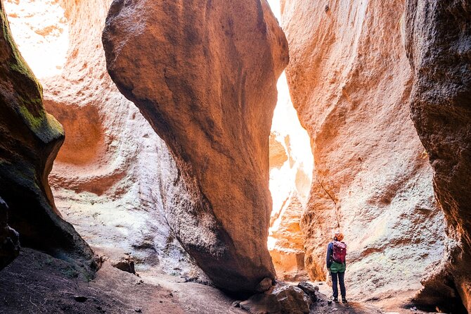 Small-Group Half-Day Canyoning in La Orotava - Key Highlights You’ll Actually Feel During the Day