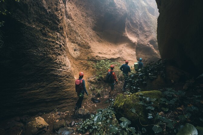 Small-Group Half-Day Canyoning in La Orotava - Hiking Out: The Final Forest Track After the Rappels