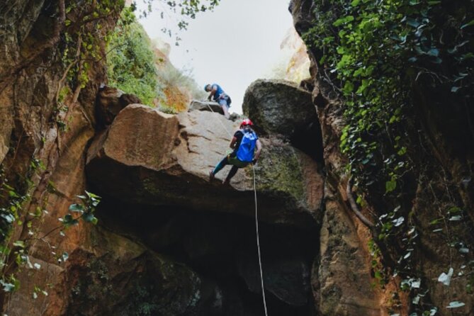 Small-Group Half-Day Canyoning in La Orotava - Fitness Level: Moderate Work, Strong Legs, and No Heights Fear