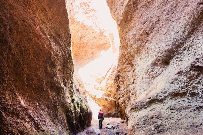 Small-Group Half-Day Canyoning in La Orotava - The 45-Minute Forest Walk Through Canary Pines