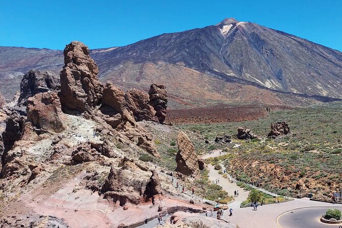 Small Group Teide National Park Volcanic and Forest Wonders - Price, Pickup, and the Real Value of Booking This Route