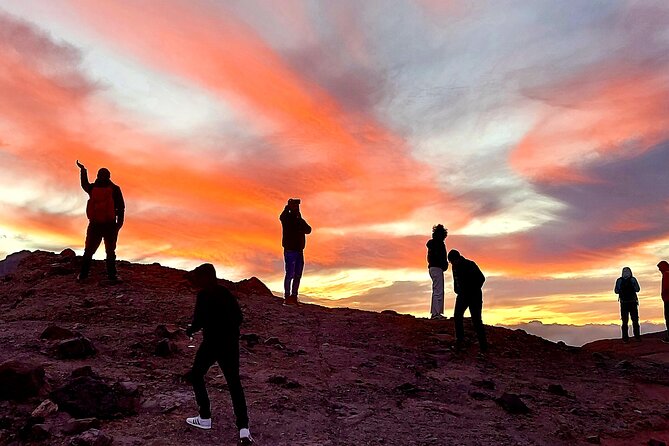 Small Group Teide National Park Volcanic and Forest Wonders - First Stop in Vilaflor: Altitude, Pine Air, and a Gentle Start