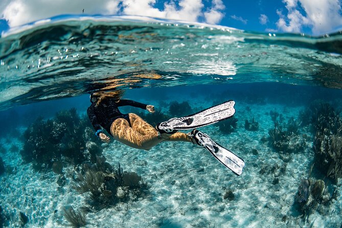 Snorkel Rental 24h, discover Tenerifes Ocean on your own! - Key things I’d plan around before you go
