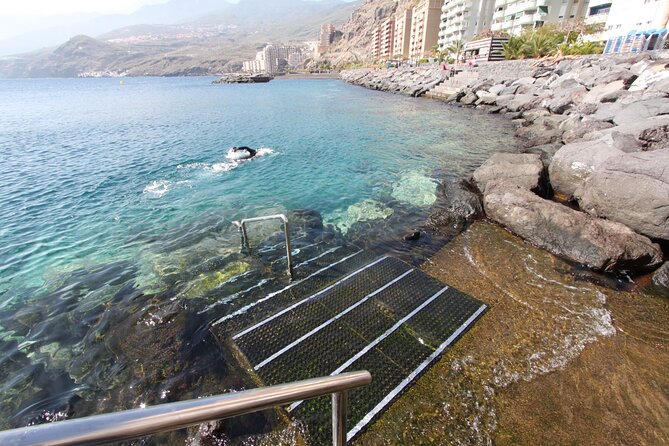 Snorkel Rental 24h, discover Tenerifes Ocean on your own! - Value and price: what $22.64 really buys you